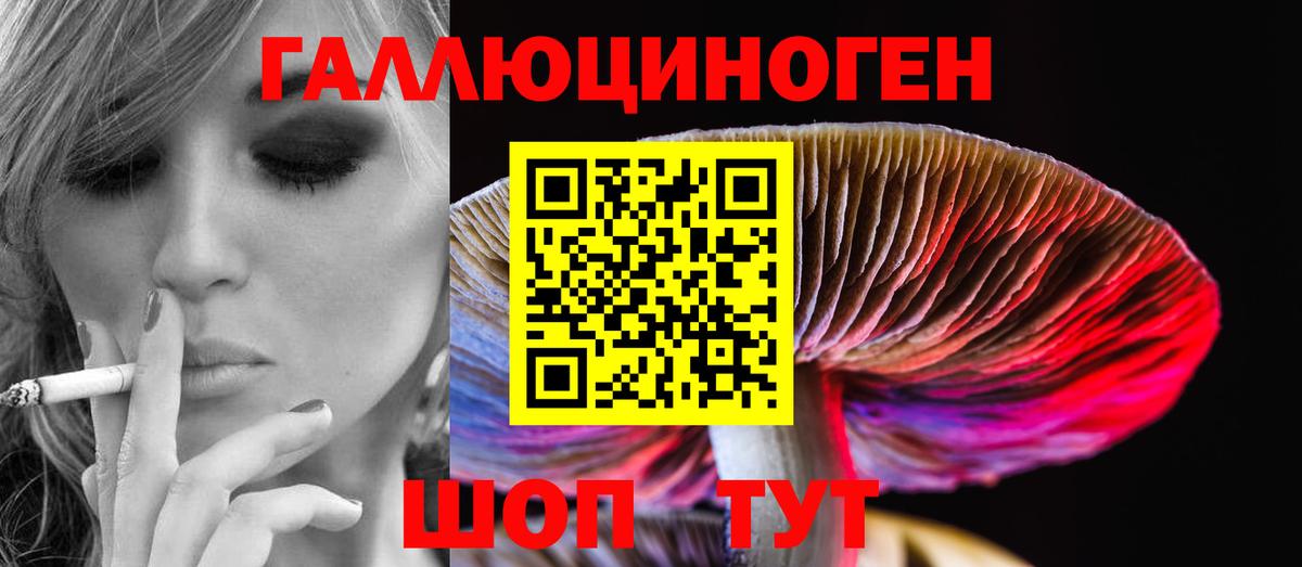 Партизанск  дарнет шоп  Вход с VPN  Псилоцибиновые грибы Magic Shrooms 